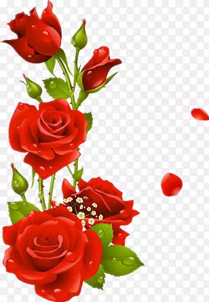 花、玫瑰、画框、剪贴画-红玫瑰