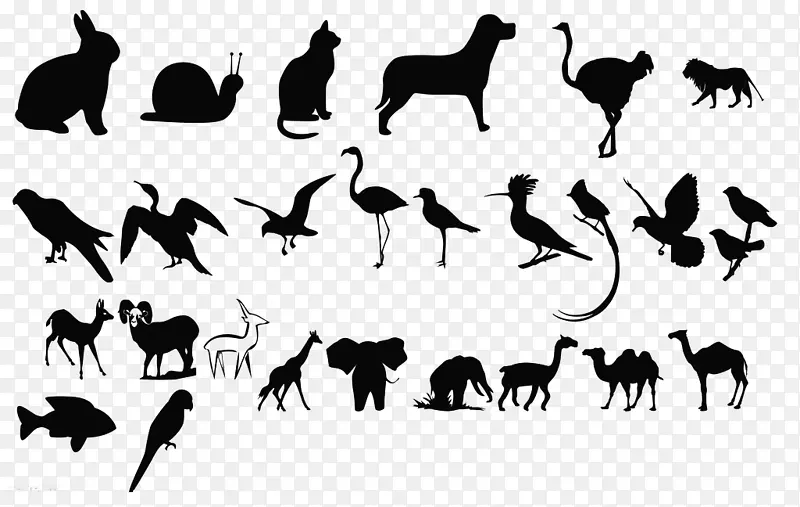 黑白动物海报-动物轮廓