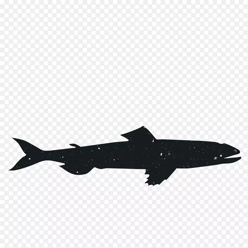 动物轮廓黑色飞机海洋-动物轮廓