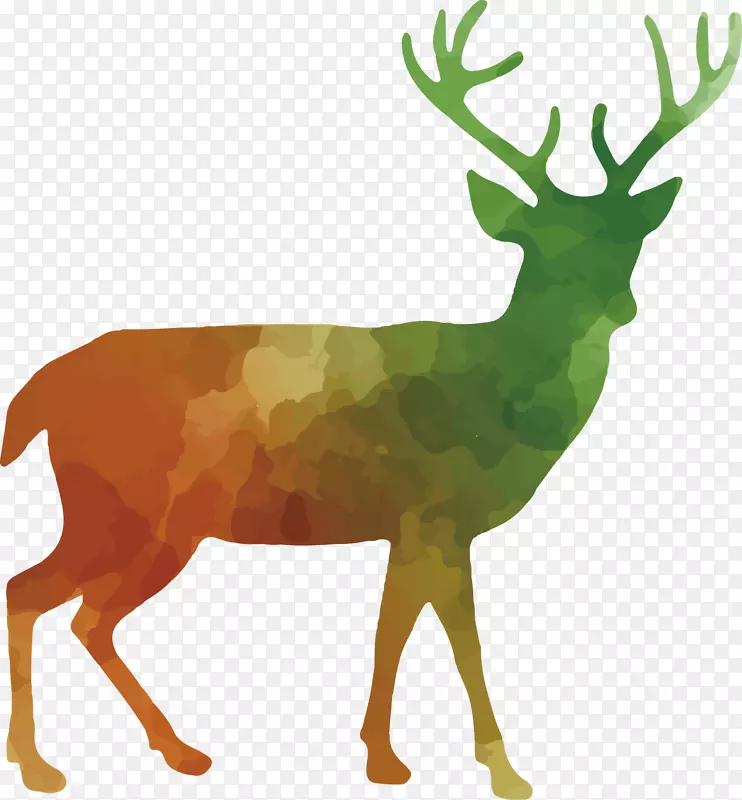 白尾鹿、马鹿、驯鹿、剪贴画-五颜六色的动物剪影集