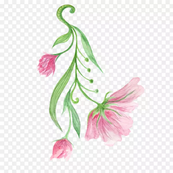 木槿花设计-粉红色芙蓉花画