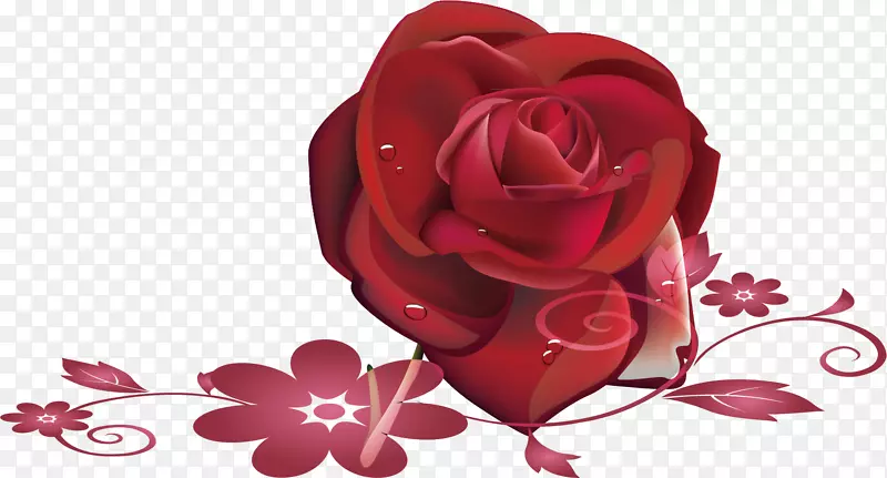 花园玫瑰海滩玫瑰花瓣-红玫瑰材质