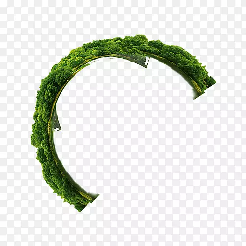 半圆形绿色环-无花果绿色环半圆