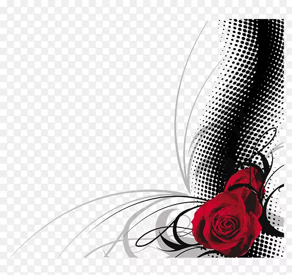 玫瑰情人节壁纸-黑色的红色玫瑰图案