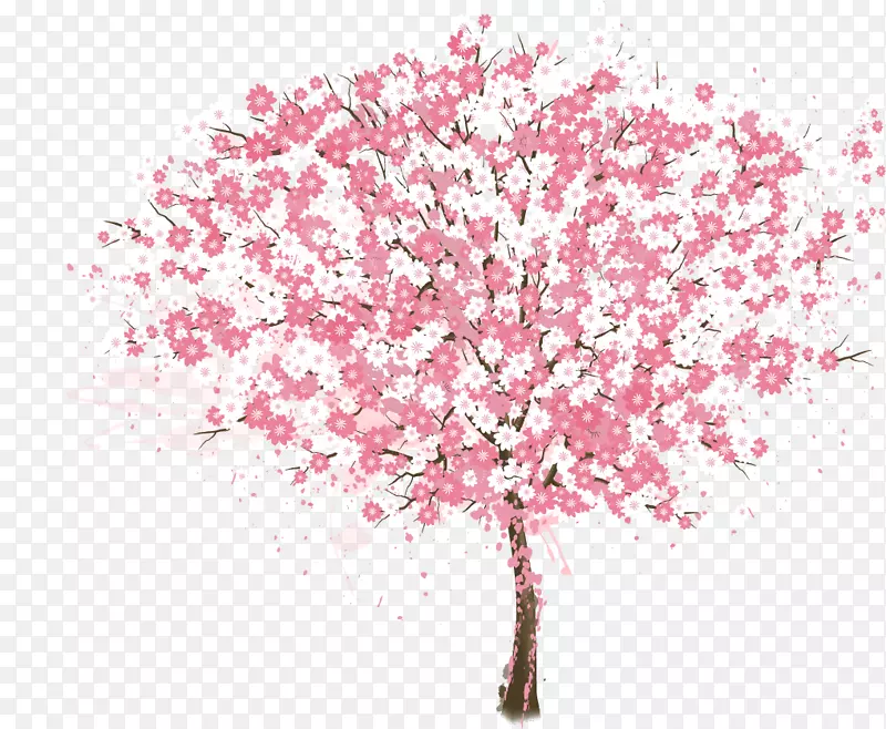 樱花树-粉红樱桃树