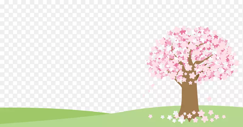 樱花插画-美丽的樱桃树