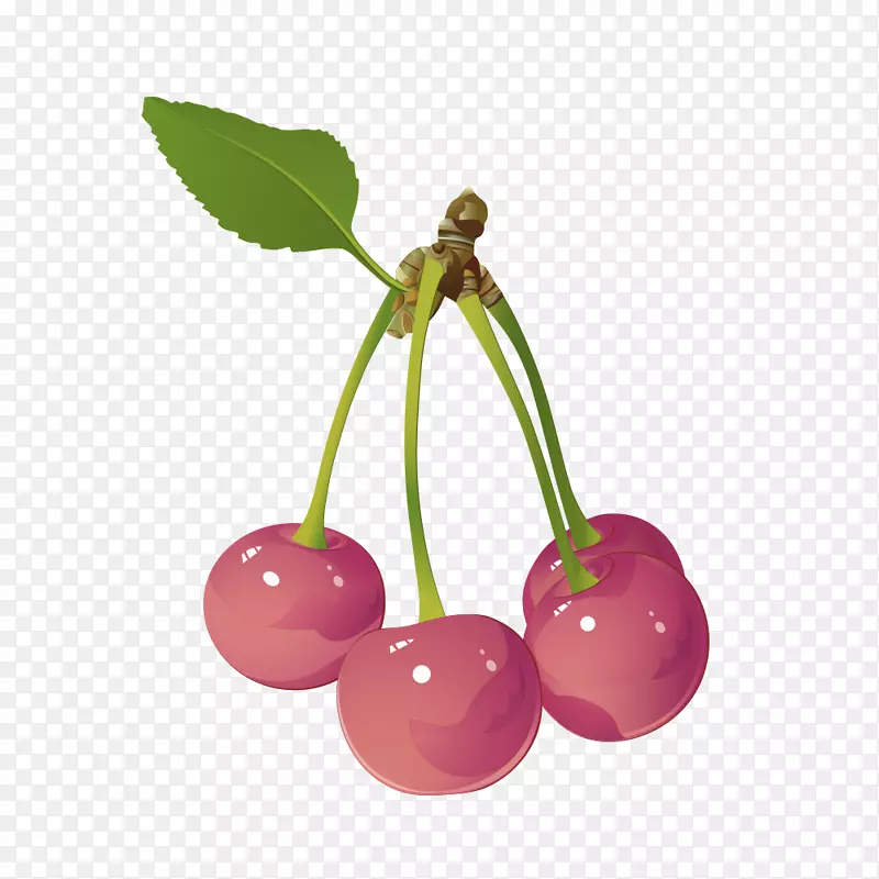 樱桃果浆果-红色简单樱桃装饰图案