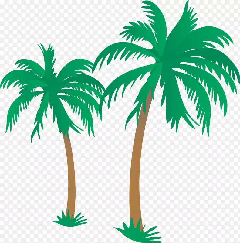 海滩槟榔科插图-卡通槟榔树