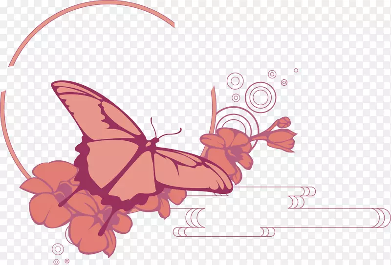 蝴蝶花卉设计师-橙色卡通花蝴蝶情人节