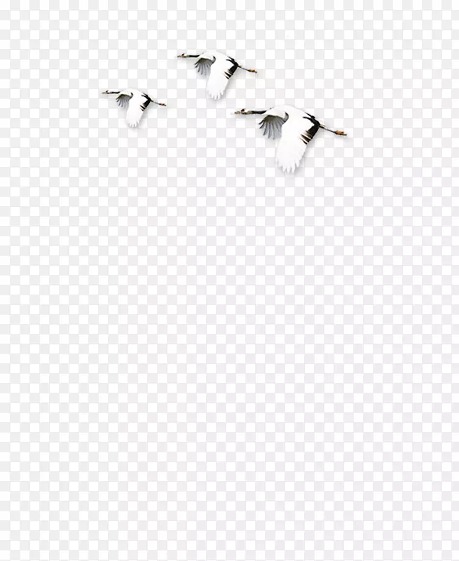 白色黑角图案-水墨画风格，鸟，鹤，飞