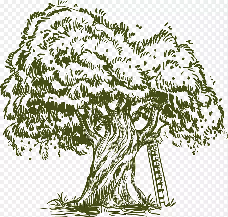 橄榄油绘图插图.绿色和简单的树木