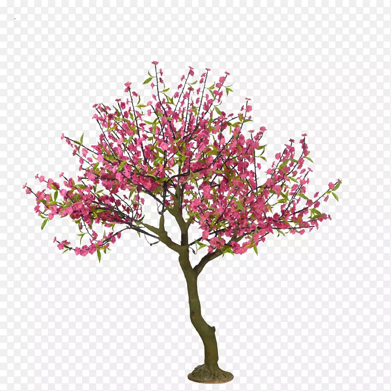 樱花树画桃子卡通手绘樱桃树扣免费材料