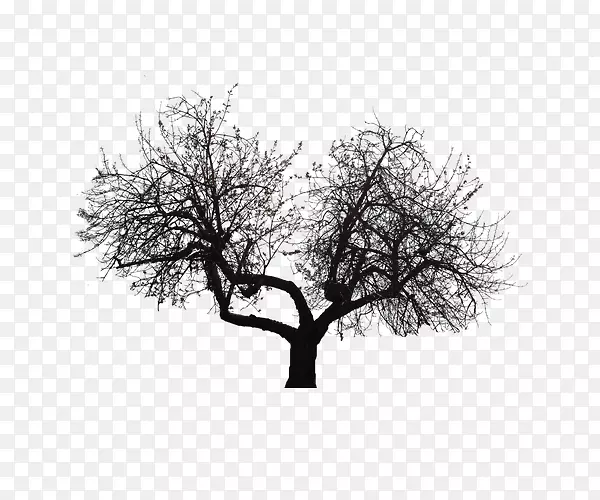树枝-凹陷分叉树