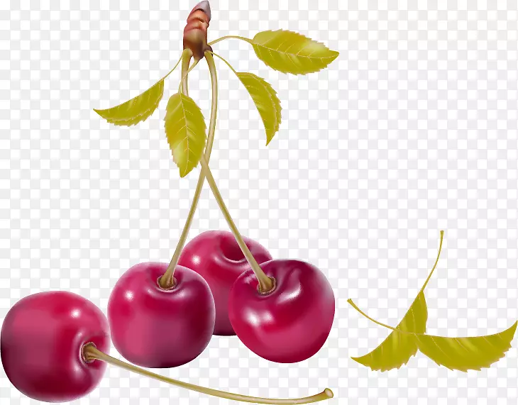 浆果樱桃-免费剪贴画-红色简单樱桃水果实物