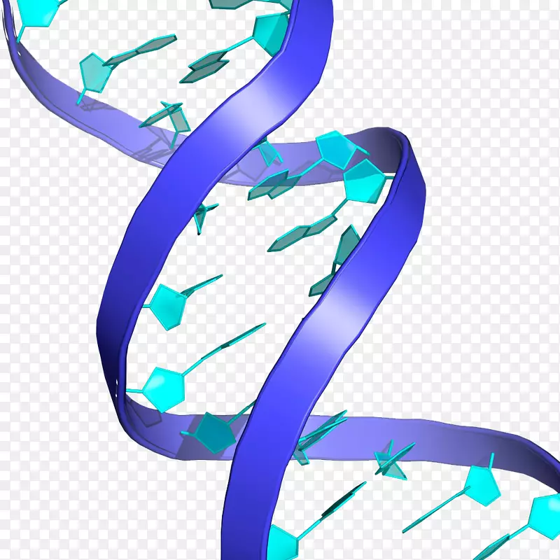 DNA核酸双螺旋遗传测试摄影生物学技术浮动元件