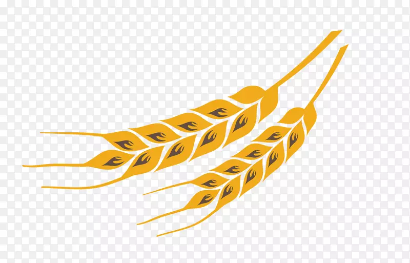 黄色小麦-小麦色设计载体材料