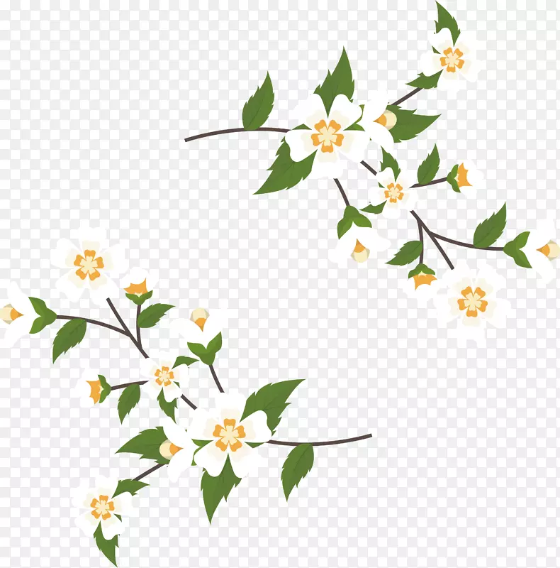 阿拉伯茉莉花-花卉设计-茉莉花甘蔗标题盒