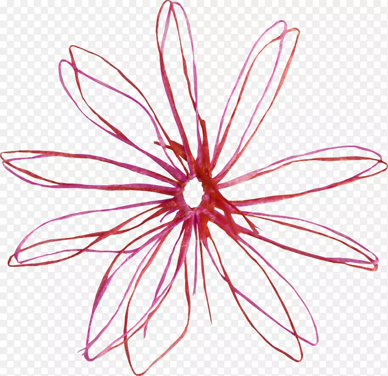 花卉设计花红设计师-创意红花线