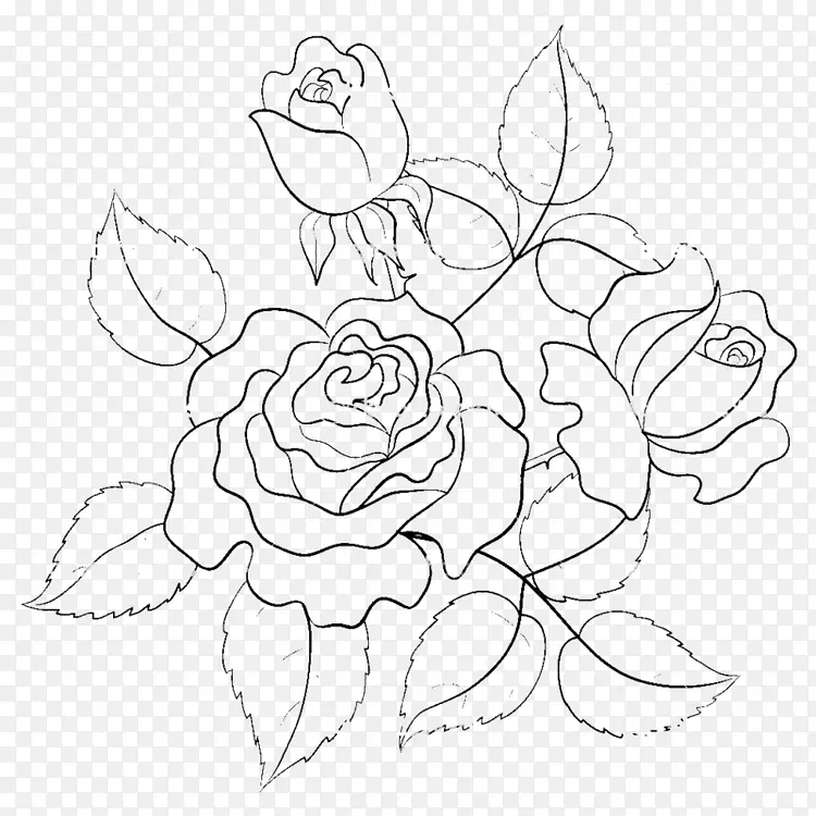 玫瑰花画插图.手绘玫瑰线图