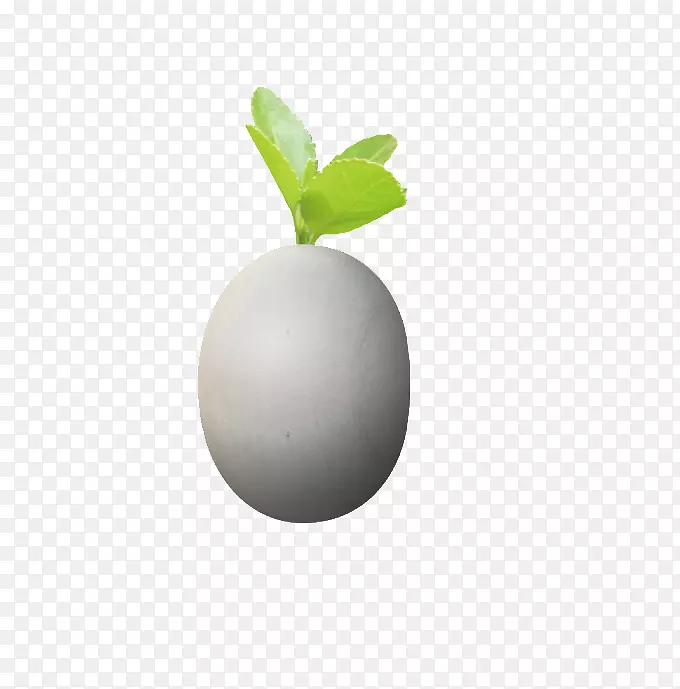 下载-带鸡蛋的小绿芽