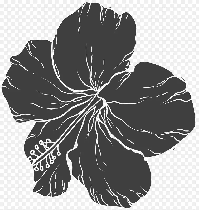 黑白花-手绘花卉图案