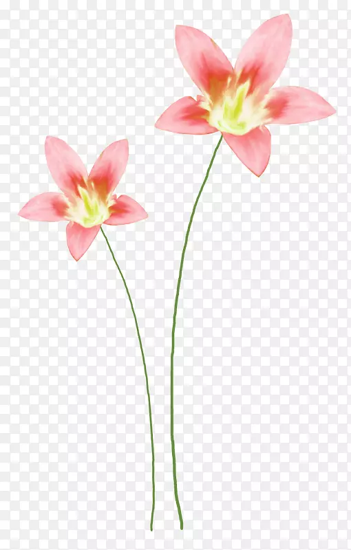 花卉设计水彩画剪贴画水彩画花卉创意花纹