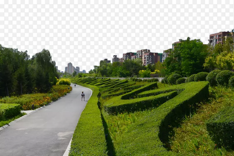 公路道路-城市绿化