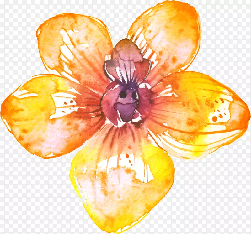 花卉绘画-花卉创意花型