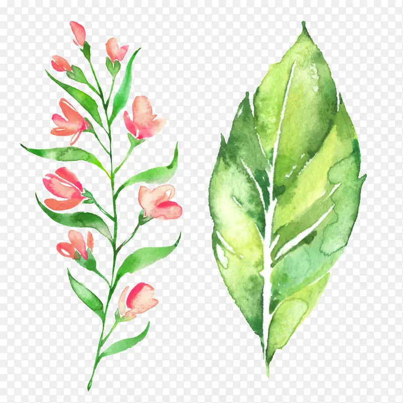 绘花-手绘水彩绿叶花卉装饰图案