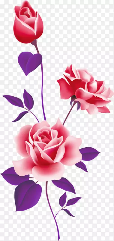 玫瑰粉红色免费内容剪贴画花卉