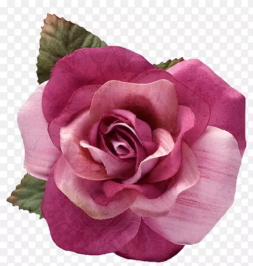 玫瑰花-创意花卉设计