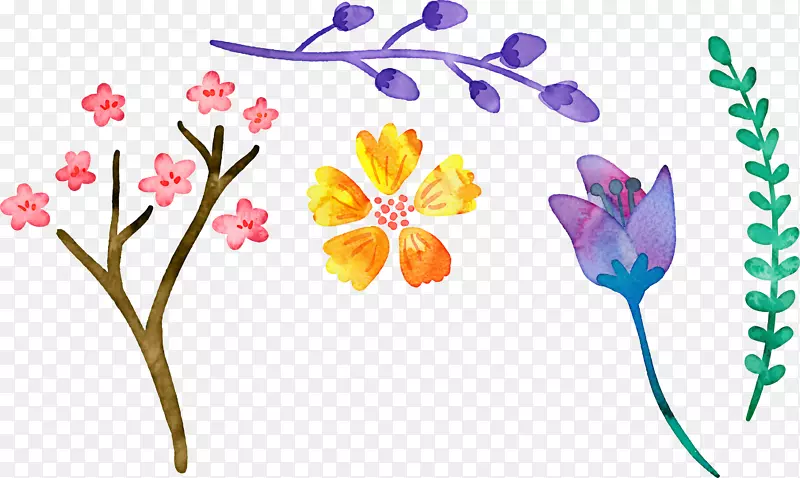花卉设计绘画花卉创意水彩画卡通水彩画花饰
