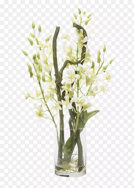 花卉设计花瓶软件.软白花花卉装饰装置