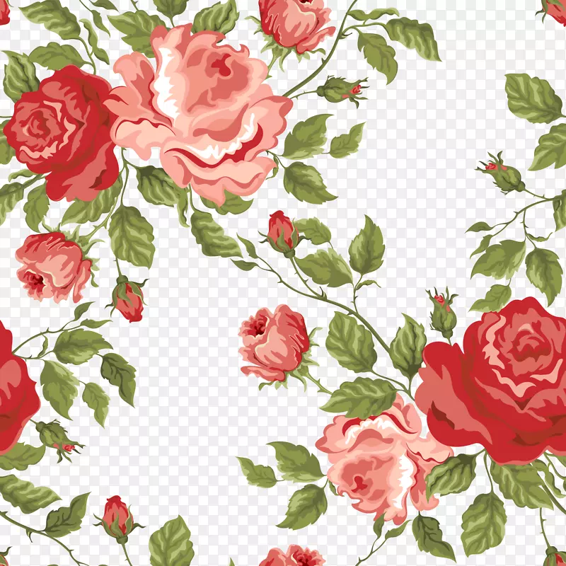 花玫瑰砧木摄影图案-花卉背景