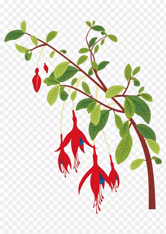 花卉植物.红色花卉装饰绿色植物