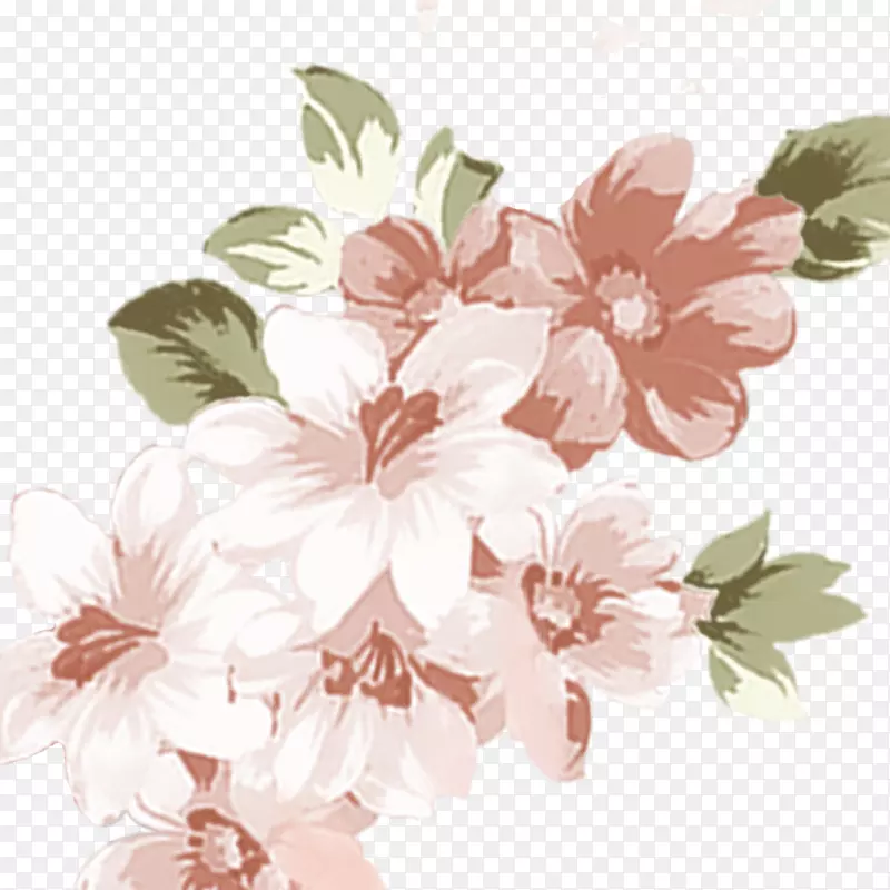 玫瑰科樱花图案-花型