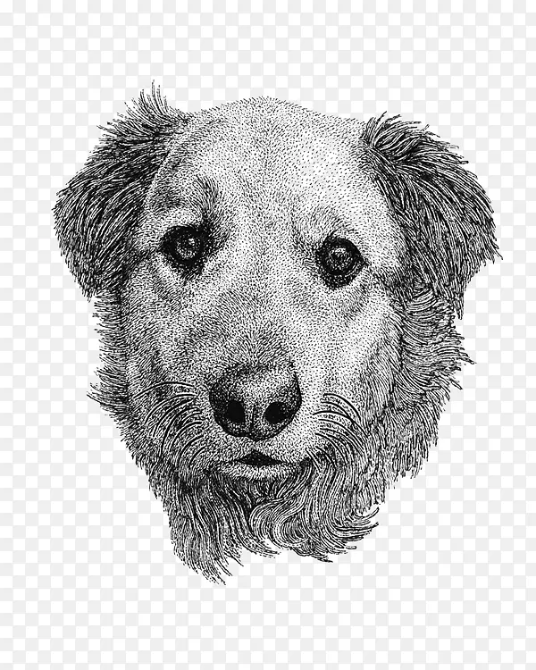 狗画宠物手绘插图狗
