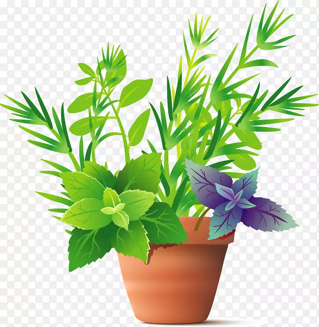 植物香料罗勒花型
