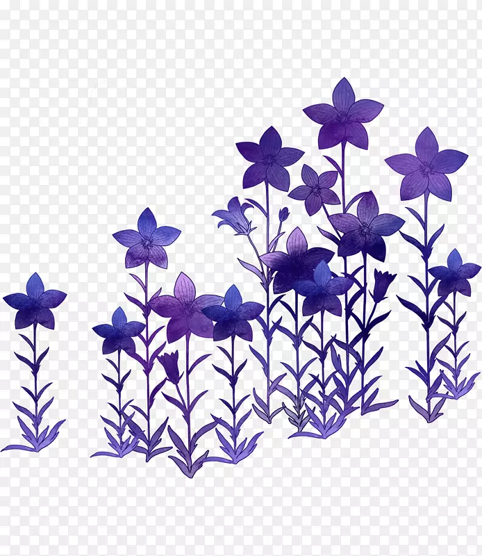 紫花浪漫-花饰