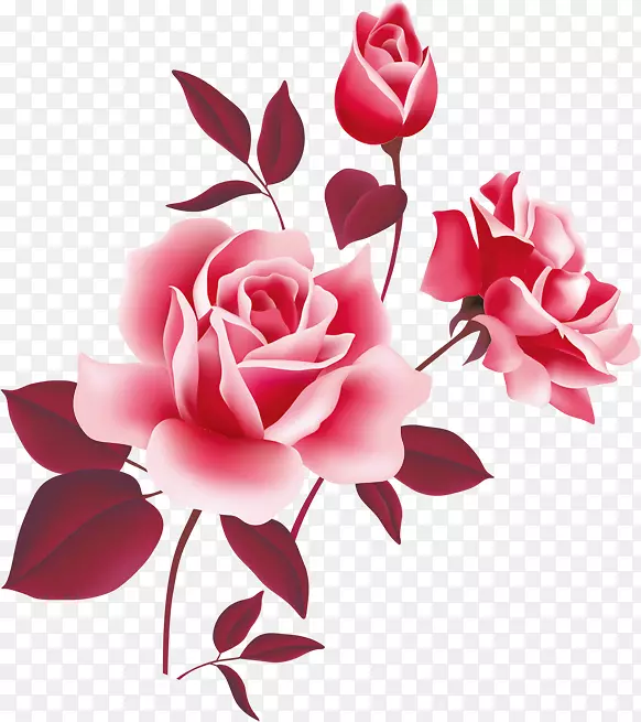 玫瑰粉色自由剪贴画-花卉