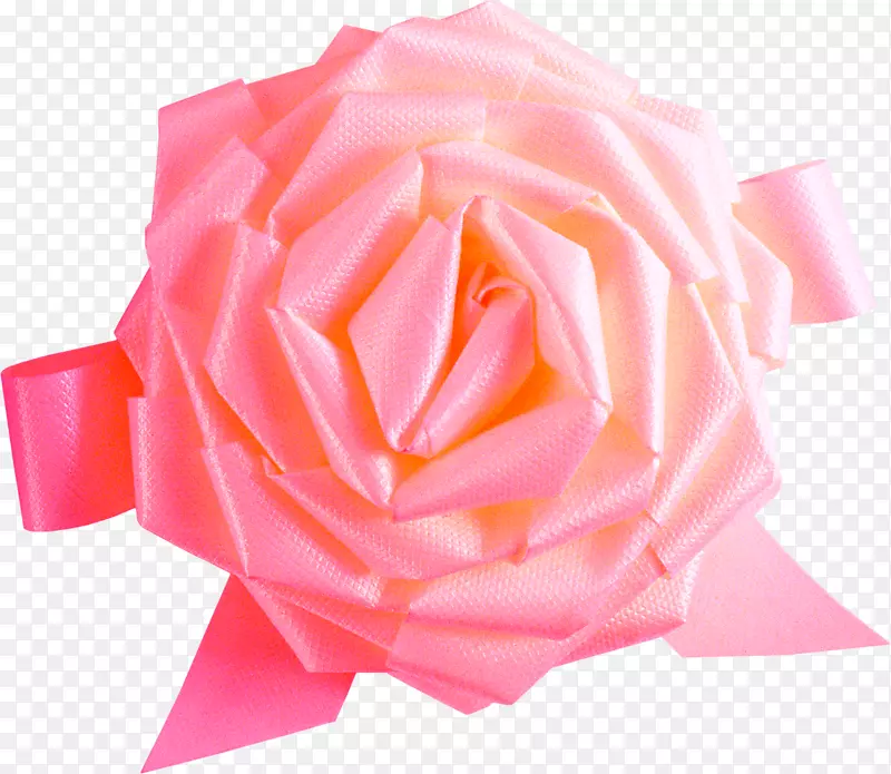 花园玫瑰海滩玫瑰巴库花节-装饰花卉水彩画材料