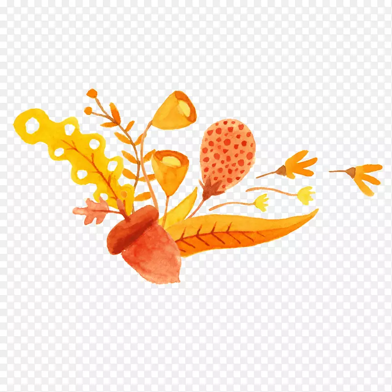 水彩：花卉橙色水彩画插图.手绘水彩黄色花卉装饰图案