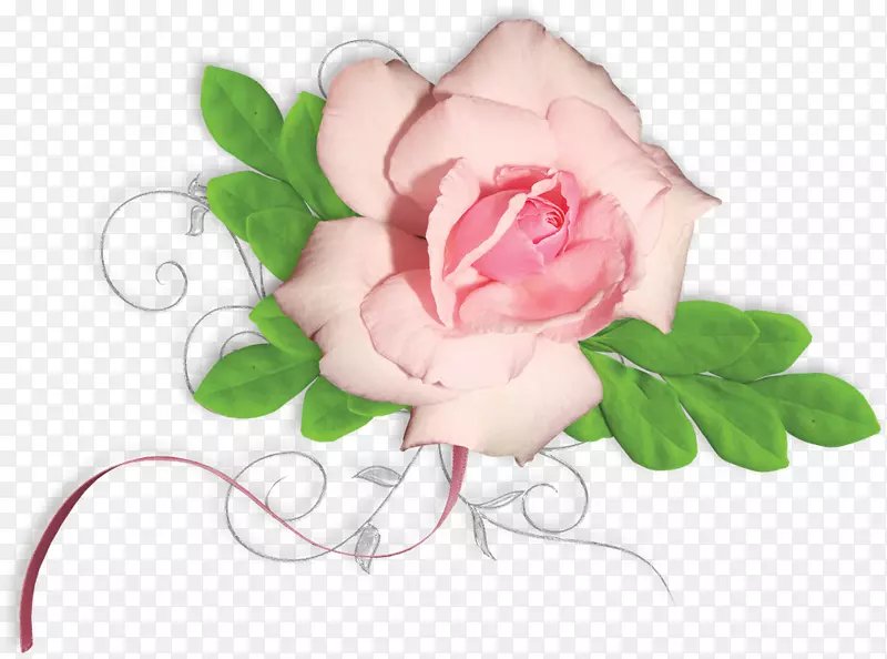 花园玫瑰花卉设计花画花卉设计材料
