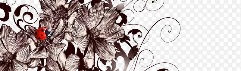 图形设计绘图插图.花卉横幅背景材料