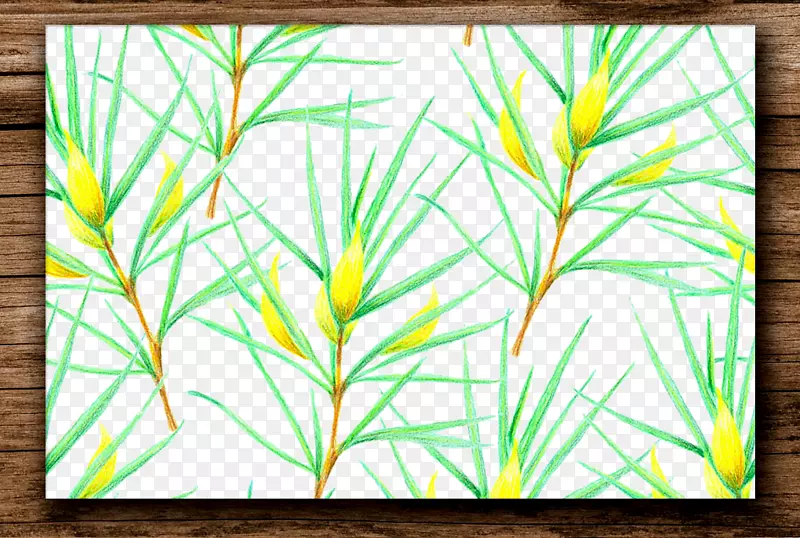植物.手绘花卉图案框架