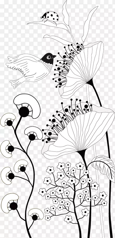 黑白剪纸摄影插图.花卉材料
