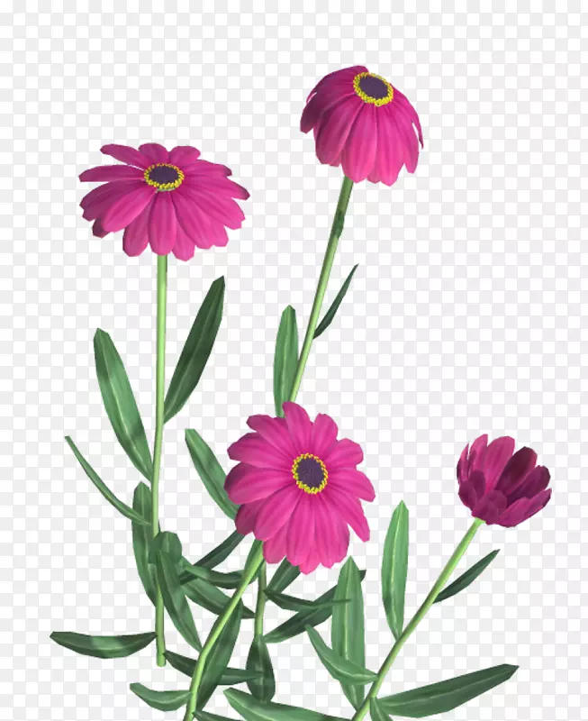 花卉剪贴画-花卉创意装饰图标