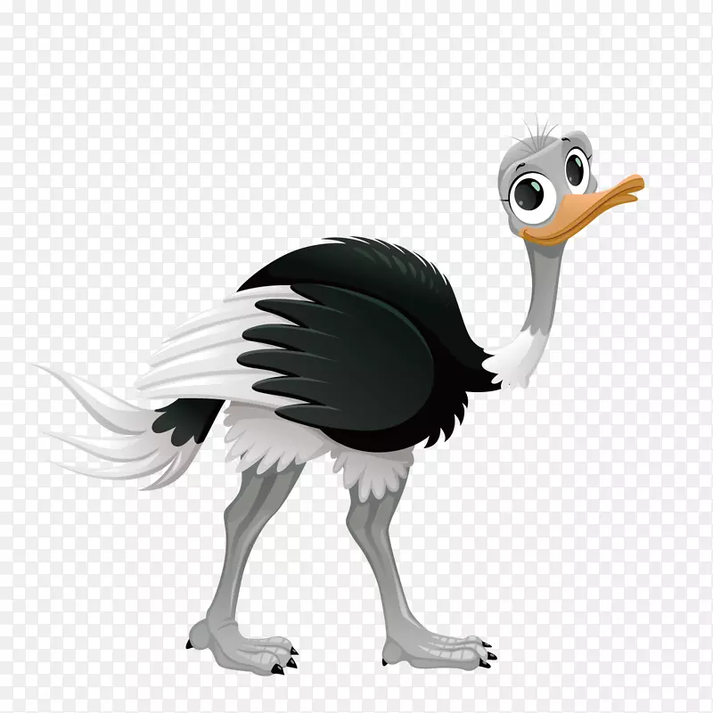 普通鸵鸟科摩多龙爬行动物插图-可爱鸵鸟