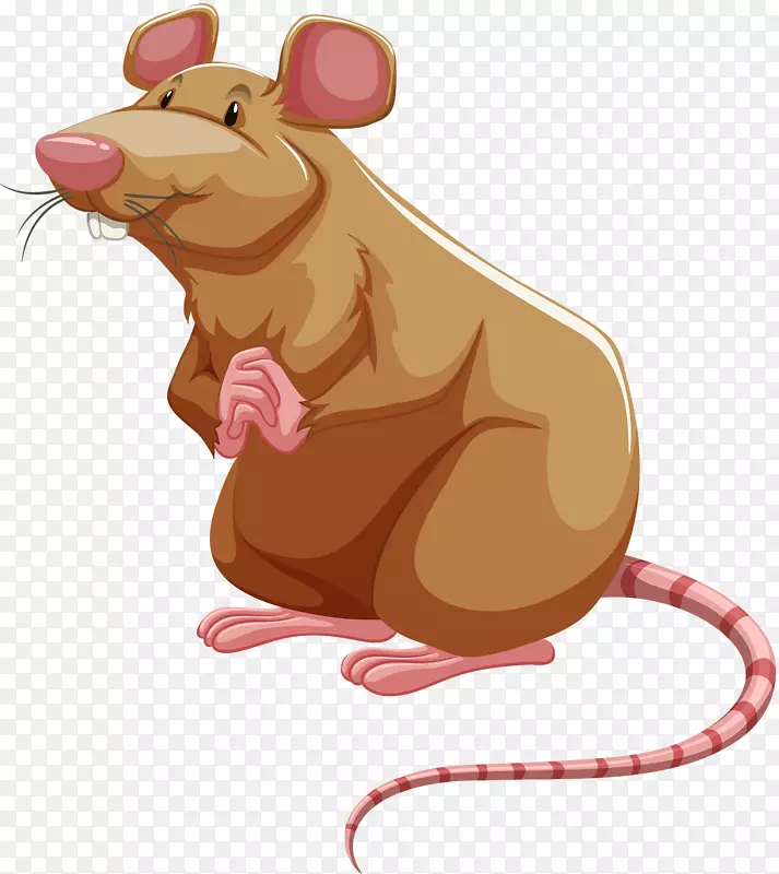 棕色鼠实验鼠夹艺术手绘鼠