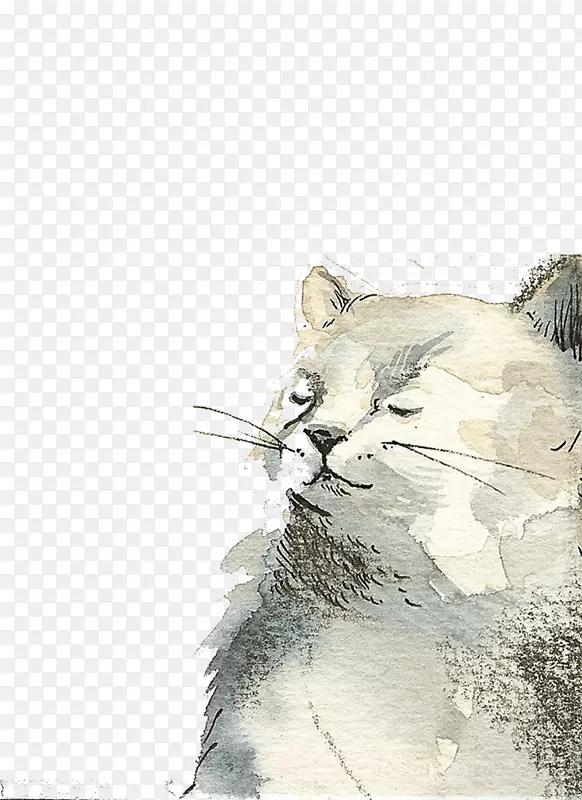猫画水彩画插图-白猫